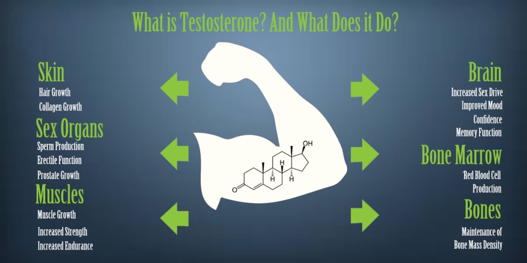 what is testosterone